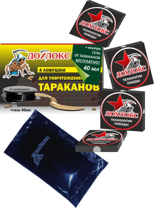 Зегеля 1 поликлиника