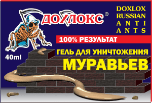 mur40 300x204 - Хабаровск