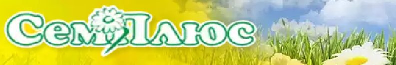 Сады Сибири Интернет Магазин Иркутск Каталог Товаров